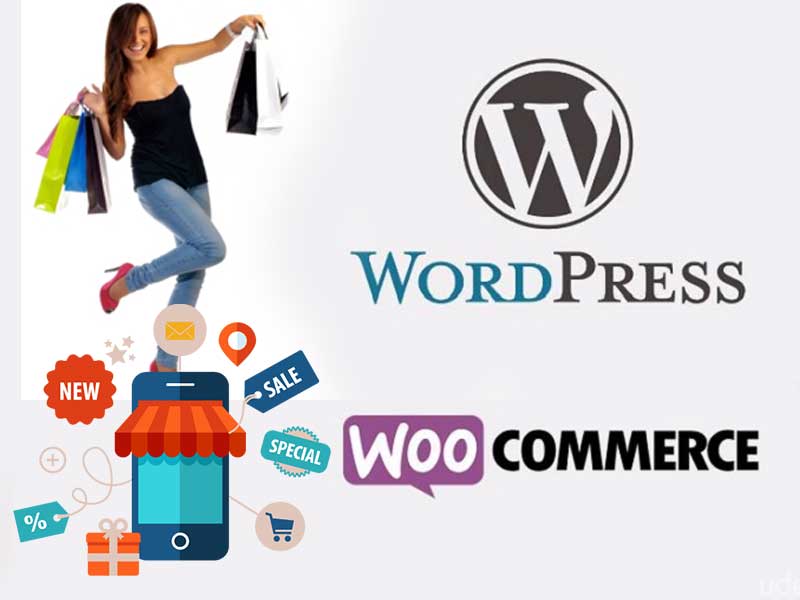 Videos: Woocommerce, WordPress e-Commerce Guide